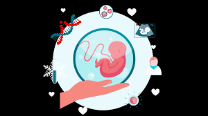 Embryo Freezing